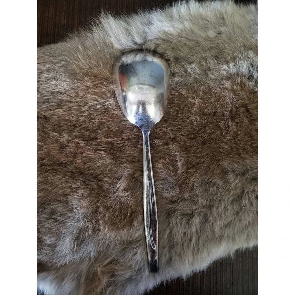 1960s WM Rogers & Sons Sea Spray Casserole Spoon Silverplate Serving Replacement